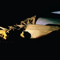 Holy Other - Lieve ryhmässä VINYYLI / Myydyimmät @ Bengans Skivbutik AB (4143346)