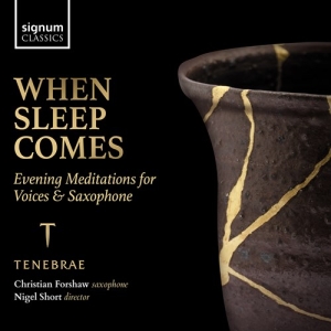 Traditional Hildegard Von Bingen - When Sleep Comes - Evening Meditati ryhmässä CD @ Bengans Skivbutik AB (4145990)