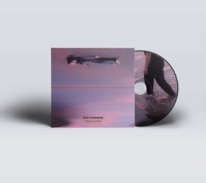 Flanagan Jake - Rides The Sky ryhmässä CD @ Bengans Skivbutik AB (4147271)