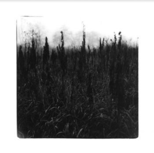 Bennet David & Vilhelm Bromander - Within Reach Of Eventuality ryhmässä CD @ Bengans Skivbutik AB (4147282)