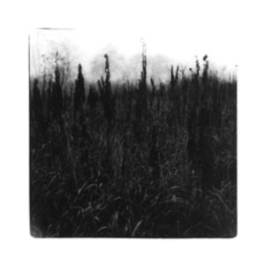 Bennet David & Vilhelm Bromander - Within Reach Of Eventuality ryhmässä CD @ Bengans Skivbutik AB (4147282)