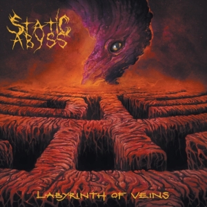 Static Abyss - Labyrinth Of Veins ryhmässä VINYYLI @ Bengans Skivbutik AB (4147950)