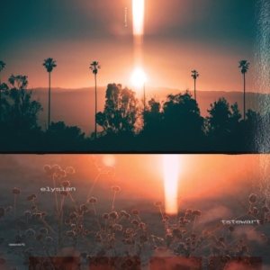 Tstewart Machinedrum - Elysian ryhmässä CD / Klassiskt @ Bengans Skivbutik AB (4147971)