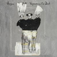 Barzin - Voyeurs In The Dark ryhmässä VINYYLI / Myydyimmät @ Bengans Skivbutik AB (4150708)