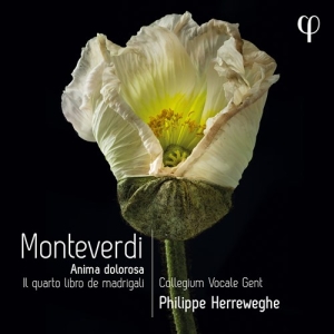 Monteverdi Claudio - Il Quarto Libro De Madrigali ryhmässä CD @ Bengans Skivbutik AB (4151150)