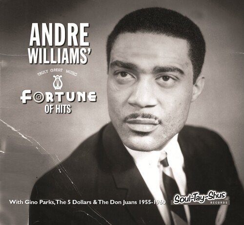 Williams Andre - Fortune Of Hits ryhmässä CD / Myydyimmät @ Bengans Skivbutik AB (4154372)