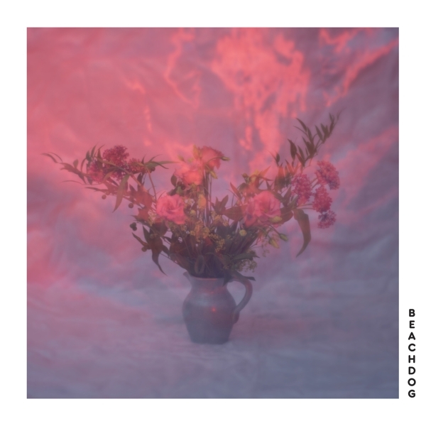 Beachdog - Beachdog ryhmässä CD / Myydyimmät @ Bengans Skivbutik AB (4156015)