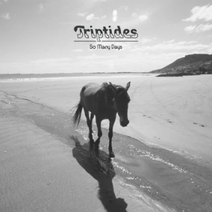 Triptides - So Many Days ryhmässä VINYYLI @ Bengans Skivbutik AB (4156564)