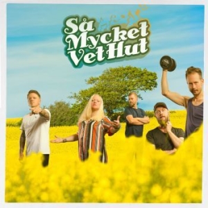 Vet Hut - Så Mycket Vet Hut ryhmässä CD @ Bengans Skivbutik AB (4157446)