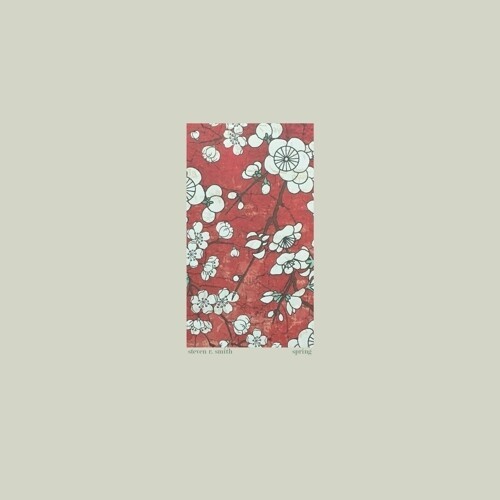 Smith Steven R. - Spring ryhmässä VINYYLI / Rock @ Bengans Skivbutik AB (4158599)