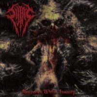 Sijjeel - Salvation Within Insanity ryhmässä CD @ Bengans Skivbutik AB (4158807)