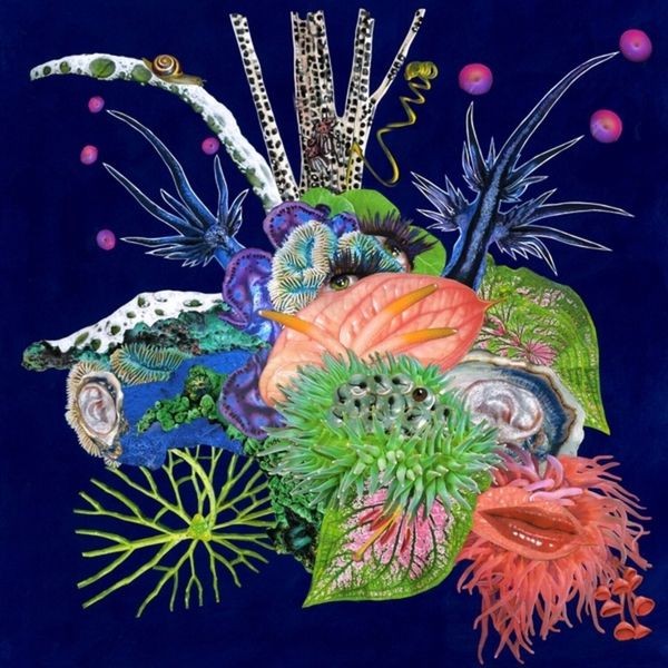 Oæo - Touche ryhmässä CD / Pop @ Bengans Skivbutik AB (4158822)
