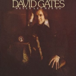 Gates David - Never Let Her Go ryhmässä CD @ Bengans Skivbutik AB (4160836)