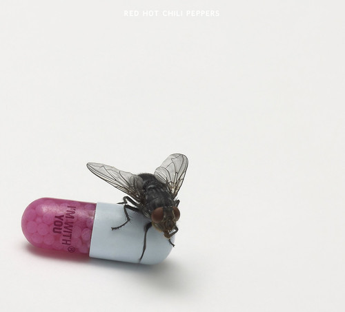 Red Hot Chili Peppers - I'm with you - US Import ryhmässä VINYYLI / Myydyimmät @ Bengans Skivbutik AB (4161033)