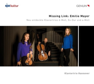 Mayer Emilie - Missing Link ryhmässä CD @ Bengans Skivbutik AB (4162282)