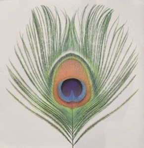 Xtc - Apple Venus (200 G.) ryhmässä VINYYLI @ Bengans Skivbutik AB (4162703)