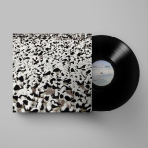 Stella Donnelly - Flood ryhmässä VINYYLI @ Bengans Skivbutik AB (4164583)