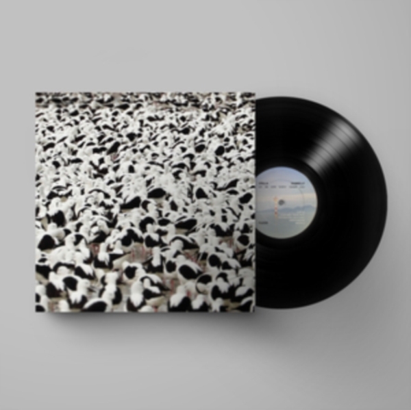 Stella Donnelly - Flood ryhmässä VINYYLI / Rock @ Bengans Skivbutik AB (4164583)