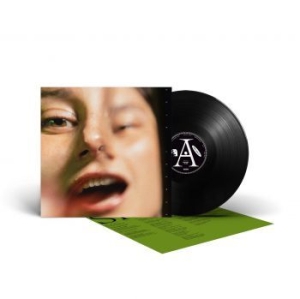 Pencey Sloe - Neglect (Black Vinyl Lp) ryhmässä VINYYLI @ Bengans Skivbutik AB (4166928)
