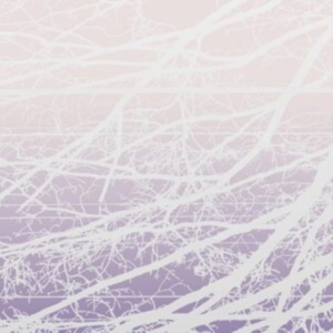 Bertucci Lea - Meta Aether/Resonant Field ryhmässä VINYYLI @ Bengans Skivbutik AB (4167107)