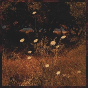 Szun Waves - Earth Patterns ryhmässä Övrigt /  @ Bengans Skivbutik AB (4169048)