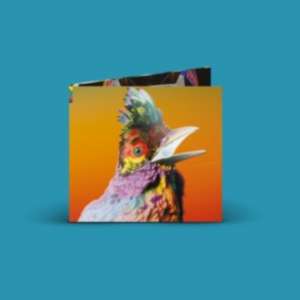 Flume - Palaces ryhmässä CD @ Bengans Skivbutik AB (4169176)