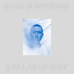 Noah Gundersen - A Pillar Of Salt (White Vinyl) ryhmässä VINYYLI @ Bengans Skivbutik AB (4169181)