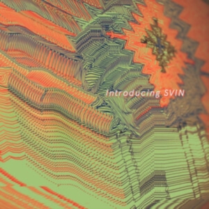 Svin - Introducing Svin ryhmässä CD @ Bengans Skivbutik AB (4169209)