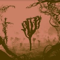 Melting Palms - Noise Between The Shades ryhmässä VINYYLI / Rock @ Bengans Skivbutik AB (4170560)