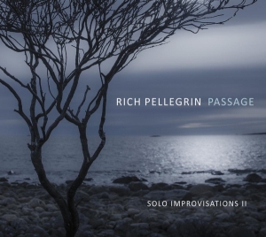 Rich Pellegrin - Passage: Solo Improvisations Ii ryhmässä CD @ Bengans Skivbutik AB (4171520)