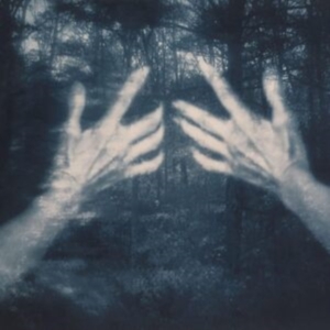 Santos Silva Susana - All The Birds And A Telephone Ringi ryhmässä VINYYLI @ Bengans Skivbutik AB (4172172)