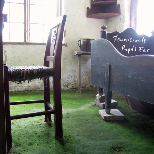 Tenniscoats - Papa's ear ryhmässä CD / Pop @ Bengans Skivbutik AB (4178964)