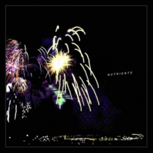 Nutrients - Different Bridges ryhmässä VINYYLI @ Bengans Skivbutik AB (4179622)