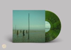 Devils Witches - In All Her Forms (Green/Black Marbl ryhmässä VINYYLI @ Bengans Skivbutik AB (4180182)
