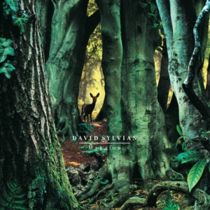 David Sylvian - Manafon ryhmässä VINYYLI @ Bengans Skivbutik AB (4180809)