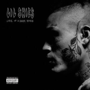 Lil Skies - Life Of A Dark Rose ryhmässä VINYYLI @ Bengans Skivbutik AB (4180829)