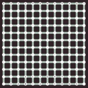 Fujiya & Miyagi - Slight Variations ryhmässä CD @ Bengans Skivbutik AB (4181324)