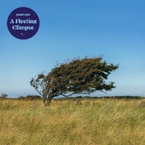 Riis Bjïrn - A Fleeting Glipse ryhmässä CD @ Bengans Skivbutik AB (4182364)