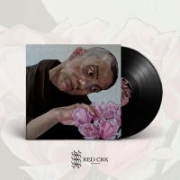 Birds In Row - Gris Klein (Black Vinyl Lp) ryhmässä VINYYLI @ Bengans Skivbutik AB (4184304)