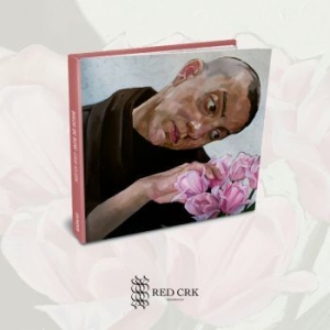 Birds In Row - Gris Klein (Digibook) ryhmässä CD @ Bengans Skivbutik AB (4184312)