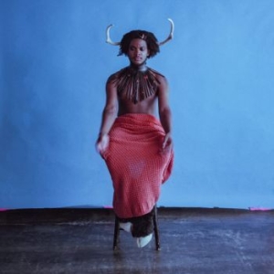 Shamir - Heterosexuality ryhmässä VINYYLI @ Bengans Skivbutik AB (4184509)