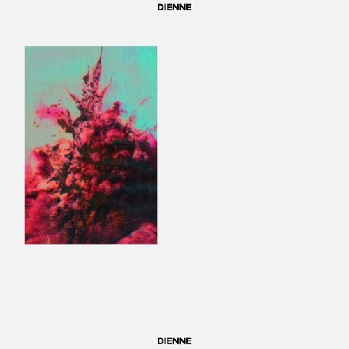 Dienne - Addio ryhmässä VINYYLI / Dans/Techno @ Bengans Skivbutik AB (4185391)