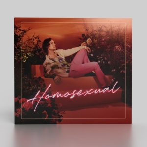 Hayes Darren - Homosexual (Turquoise) ryhmässä VINYYLI @ Bengans Skivbutik AB (4185394)