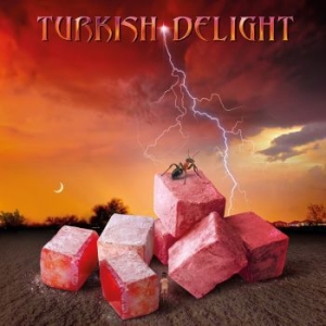 Various Artists - Turkish Delight Volume One ryhmässä CD @ Bengans Skivbutik AB (4186415)