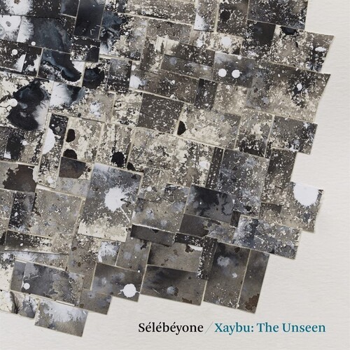 Lehman Steve / Selebeyone - Xaybu: The Unseen ryhmässä VINYYLI / Jazz/Blues @ Bengans Skivbutik AB (4186443)