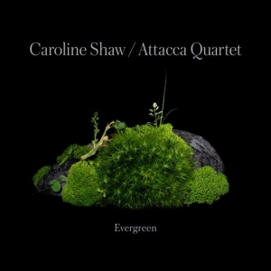 Caroline Shaw & Attacca Quarte - Caroline Shaw: Evergreen ryhmässä CD @ Bengans Skivbutik AB (4187035)