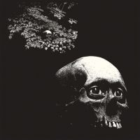 Osees - A Foul Form ryhmässä CD @ Bengans Skivbutik AB (4187461)