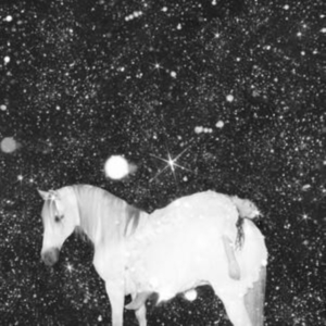 Black Lips - Apocalypse Love ryhmässä CD @ Bengans Skivbutik AB (4187700)