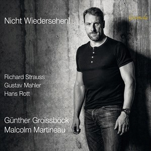 Rott Hans Strauss Richard - Rott & Strauss: Nicht Wiedersehen! ryhmässä CD @ Bengans Skivbutik AB (4196900)