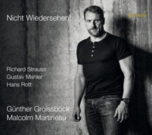 Rott Hans Strauss Richard - Rott & Strauss: Nicht Wiedersehen! ryhmässä CD @ Bengans Skivbutik AB (4196900)